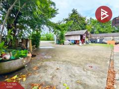 ขายบ้านเดี่ยว เนื้อ 68.8 ตารางวา ต.บางยาง สมุทรสาคร บรรยากาศดี พื้นที่กว้าง พร้อมอยู่-202509141244181757828658160.jpg