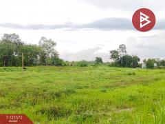ขายที่ดิน เนื้อที่ 11 ไร่ 2 งาน 80.8 ตร.วา บ้านค่าย ระยอง