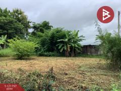 ขายที่ดิน เนื้อที่ 114 ตารางวา ท่าเสา อุตรดิตถ์ ทำเลดี อยู่ในแหล่งชุมชน-202509141424281757834668596.jpg