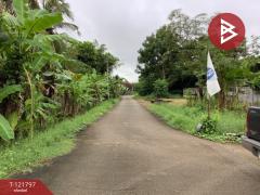 ขายที่ดิน เนื้อที่ 114 ตารางวา ท่าเสา อุตรดิตถ์ ทำเลดี อยู่ในแหล่งชุมชน-202509141424291757834669551.jpg