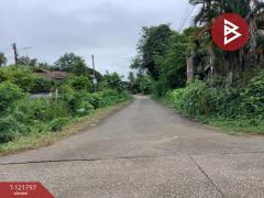 ขายที่ดิน เนื้อที่ 114 ตารางวา ท่าเสา อุตรดิตถ์ ทำเลดี อยู่ในแหล่งชุมชน-202509141424301757834670078.jpg