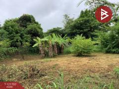 ขายที่ดิน เนื้อที่ 114 ตารางวา ท่าเสา อุตรดิตถ์ ทำเลดี อยู่ในแหล่งชุมชน-202509141424301757834670609.jpg