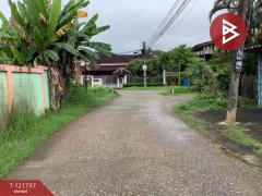 ขายที่ดิน เนื้อที่ 114 ตารางวา ท่าเสา อุตรดิตถ์ ทำเลดี อยู่ในแหล่งชุมชน-202509141424311757834671149.jpg