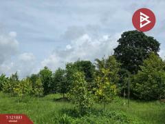 ขายที่ดิน เนื้อที่ 9 ไร่ 44 ตร.วา ท่าใหม่ จันทบุรี-202509141427441757834864893.jpg