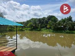 ขายที่ดิน เนื้อที่ 9 ไร่ 44 ตร.วา ท่าใหม่ จันทบุรี-202509141427471757834867037.jpg