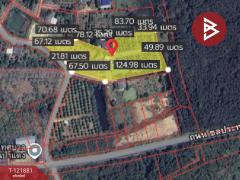 ขายที่ดิน เนื้อที่ 9 ไร่ 44 ตร.วา ท่าใหม่ จันทบุรี-202509141427481757834868095.jpg