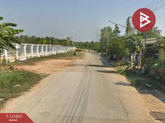 ขายที่ดิน เนื้อที่ 5 ไร่ เกาะจันทร์ ชลบุรี-202509141442051757835725751.jpg