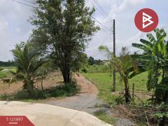 ขายที่ดิน เนื้อที่ 5 ไร่ เกาะจันทร์ ชลบุรี-202509141442061757835726270.jpg