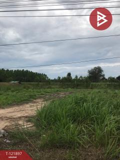 ขายที่ดิน เนื้อที่ 5 ไร่ เกาะจันทร์ ชลบุรี-202509141442071757835727043.jpg