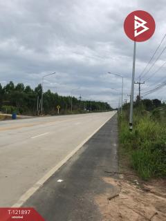 ขายที่ดิน เนื้อที่ 5 ไร่ เกาะจันทร์ ชลบุรี-202509141442081757835728064.jpg