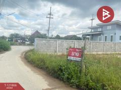 ขายที่ดินเปล่า ถ.ในหมู่บ้านหลุก เนื้อที่ 1 งาน เหมืองง่า ลำพูน-202509141520301757838030515.jpg