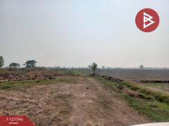 ขายที่ดินสวย เนื้อที่ 9 ไร่ 2 งาน 63 ตารางวา อ.บำเหน็จณรงค์ ชัยภูมิ ทำเลดี-202509141520421757838042373.jpg