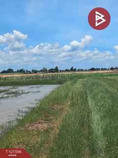 ขายที่ดินสวย เนื้อที่ 9 ไร่ 2 งาน 63 ตารางวา อ.บำเหน็จณรงค์ ชัยภูมิ ทำเลดี-202509141520431757838043424.jpg