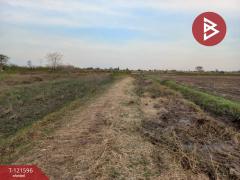 ขายที่ดินสวย เนื้อที่ 9 ไร่ 2 งาน 63 ตารางวา อ.บำเหน็จณรงค์ ชัยภูมิ ทำเลดี-202509141520451757838045538.jpg