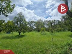 ขายที่ดินพร้อมสวนผลไม้ เนื้อที่ 5 ไร่ 2 งาน 91 ตร.วา ท่าใหม่ จันทบุรี
