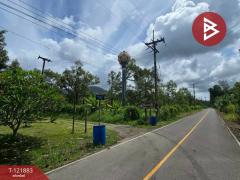 ขายที่ดินพร้อมสวนผลไม้ เนื้อที่ 5 ไร่ 2 งาน 91 ตร.วา ท่าใหม่ จันทบุรี-202509141558061757840286114.jpg