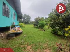 ขายที่ดิน เนื้อที่ 2 ไร่ 34 ตร.วา หนองโสน ตราด-202509141611481757841108889.jpg