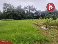 ขายที่ดิน เนื้อที่ 2 ไร่ 34 ตร.วา หนองโสน ตราด-202509141611511757841111083.jpg