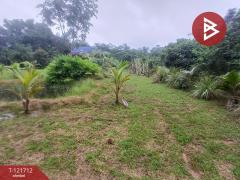 ขายที่ดิน เนื้อที่ 2 ไร่ 34 ตร.วา หนองโสน ตราด-202509141611521757841112182.jpg