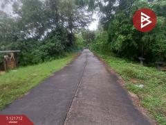 ขายที่ดิน เนื้อที่ 2 ไร่ 34 ตร.วา หนองโสน ตราด-202509141611521757841112738.jpg