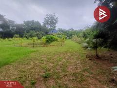 ขายที่ดิน เนื้อที่ 2 ไร่ 34 ตร.วา หนองโสน ตราด-202509141611531757841113853.jpg