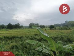ขายที่ดินสวนผลไม้ พร้อมบ้าน 12 ไร่ 16 ตร.วา ต.บ้านนา ระยอง-202509141614211757841261202.jpg