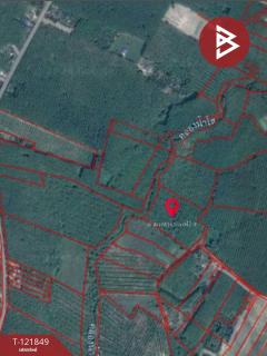 ขายที่ดินสวนผลไม้ พร้อมบ้าน 12 ไร่ 16 ตร.วา ต.บ้านนา ระยอง-202509141614251757841265466.jpg
