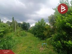 ขายที่ดิน เนื้อที่ 1 ไร่ ท่าใหม่ จันทบุรี-202509141623431757841823069.jpg