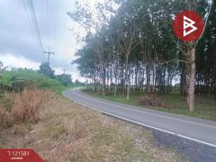 ขายที่ดิน เนื้อที่ 1 ไร่ ท่าใหม่ จันทบุรี-202509141623441757841824823.jpg
