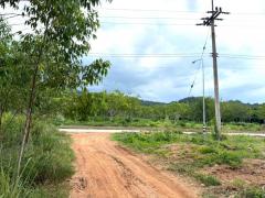 ขาย ที่ดิน ME383 แปลงใหญ่ ราคาถูก ธาตุทอง บ่อทอง ชลบุรี ขนาด 82 ไร่ 3 งาน 75 ตรว ติดถนนสาธรณะ 2 ด้าน ใกล้เนินโมก ถนน 331 เพียง 18 Km.-202509141835081757849708141.jpg