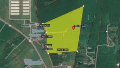 ขาย ที่ดิน ME383 แปลงใหญ่ ราคาถูก ธาตุทอง บ่อทอง ชลบุรี ขนาด 82 ไร่ 3 งาน 75 ตรว ติดถนนสาธรณะ 2 ด้าน ใกล้เนินโมก ถนน 331 เพียง 18 Km.-202509141835091757849709607.jpg