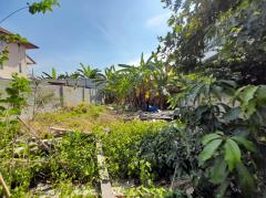 ขาย ที่ดิน ถูกที่สุด ซ.เพชรเกษม 81 ขนาด 48 ตร.วา ใกล้ถ.บางบอน 5 แค่ 240 ม. TV-202509142043391757857419098.jpg