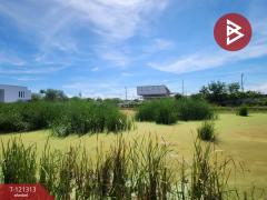 ขายที่ดิน เนื้อที่ 3 ไร่ ซ.ประชาอุทิศ 76 ทุ่งครุ กรุงเทพมหานคร-202509142118111757859491330.jpg