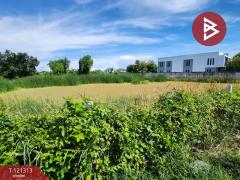 ขายที่ดิน เนื้อที่ 3 ไร่ ซ.ประชาอุทิศ 76 ทุ่งครุ กรุงเทพมหานคร-202509142118151757859495974.jpg