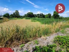 ขายที่ดิน เนื้อที่ 3 ไร่ ซ.ประชาอุทิศ 76 ทุ่งครุ กรุงเทพมหานคร-202509142118161757859496500.jpg