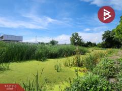 ขายที่ดิน เนื้อที่ 3 ไร่ ซ.ประชาอุทิศ 76 ทุ่งครุ กรุงเทพมหานคร-202509142118181757859498083.jpg