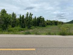 ที่ดินพร้อมต้นสัก 52-0-99 ไร่ ผืนใหญ่ ต.เขาทราย อ.ทับคล้อ จ.พิจิตร-202509150901381757901698836.jpg