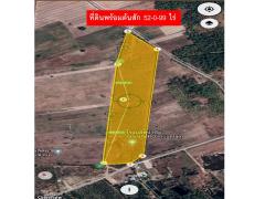 ที่ดินพร้อมต้นสัก 52-0-99 ไร่ ผืนใหญ่ ต.เขาทราย อ.ทับคล้อ จ.พิจิตร-202509150901451757901705768.jpg