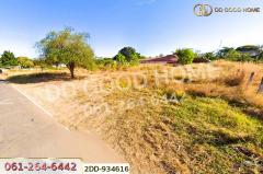 2DD-934616 ที่ดินเลิงนกทา 318.3 ตร.ว. ยโสธร ใกล้สถานีขนส่งผู้โดยสารเทศบาลตำบลสามแยก-202509151046331757907993668.jpg