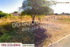 2DD-934616 ที่ดินเลิงนกทา 318.3 ตร.ว. ยโสธร ใกล้สถานีขนส่งผู้โดยสารเทศบาลตำบลสามแยก-202509151046341757907994239.jpg