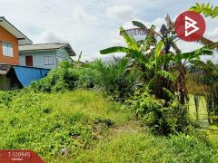 ขายที่ดิน-เนื้อที่-8-ไร่-1-งาน-76.1-ตร.วา-ป