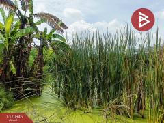 ขายที่ดิน เนื้อที่ 8 ไร่ 1 งาน 76.1 ตร.วา ปากเกร็ด นนทบุรี-202509151120581757910058685.jpg