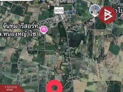 ขายที่ดิน เนื้อที่ 3 งาน 56 ตารางวาอ.หนองหญ้าไซ สุพรรณบุรี-202509151210201757913020555.jpg