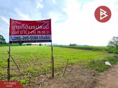 ขายที่ดินเปล่า เนื้อที่ 12 ไร่ 2 งาน 76 ตารางวา ต.พุนกยูง นครสวรรค์ ทำเลดี ติดถนนใหญ่-202509151232501757914370486.jpg