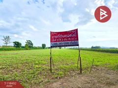 ขายที่ดินเปล่า เนื้อที่ 12 ไร่ 2 งาน 76 ตารางวา ต.พุนกยูง นครสวรรค์ ทำเลดี ติดถนนใหญ่-202509151232511757914371073.jpg