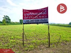 ขายที่ดินเปล่า เนื้อที่ 12 ไร่ 2 งาน 76 ตารางวา ต.พุนกยูง นครสวรรค์ ทำเลดี ติดถนนใหญ่-202509151232511757914371922.jpg