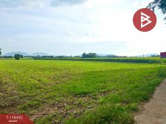 ขายที่ดินเปล่า เนื้อที่ 12 ไร่ 2 งาน 76 ตารางวา ต.พุนกยูง นครสวรรค์ ทำเลดี ติดถนนใหญ่-202509151232521757914372715.jpg