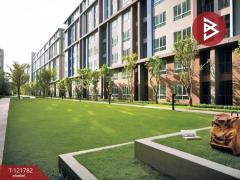 ขายคอนโด โครงการดีคอนโด แคมปัส รีสอร์ท บางนา (Dcondo Campus Resort) สมุทรปราการ-202509151241081757914868104.jpg