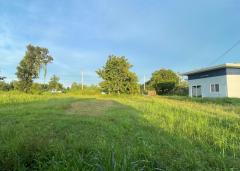 ขายบ้านเดี่ยวพร้อมที่ดิน เนื้อที่ 4 ไร่ 3 งาน นายม อำนาจเจริญ-202509151249061757915346365.jpg