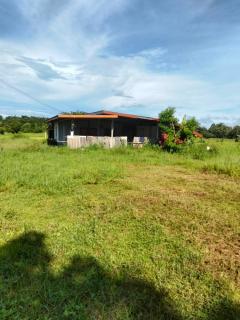 ขายบ้านเดี่ยวพร้อมที่ดิน เนื้อที่ 4 ไร่ 3 งาน นายม อำนาจเจริญ-202509151249111757915351063.jpg